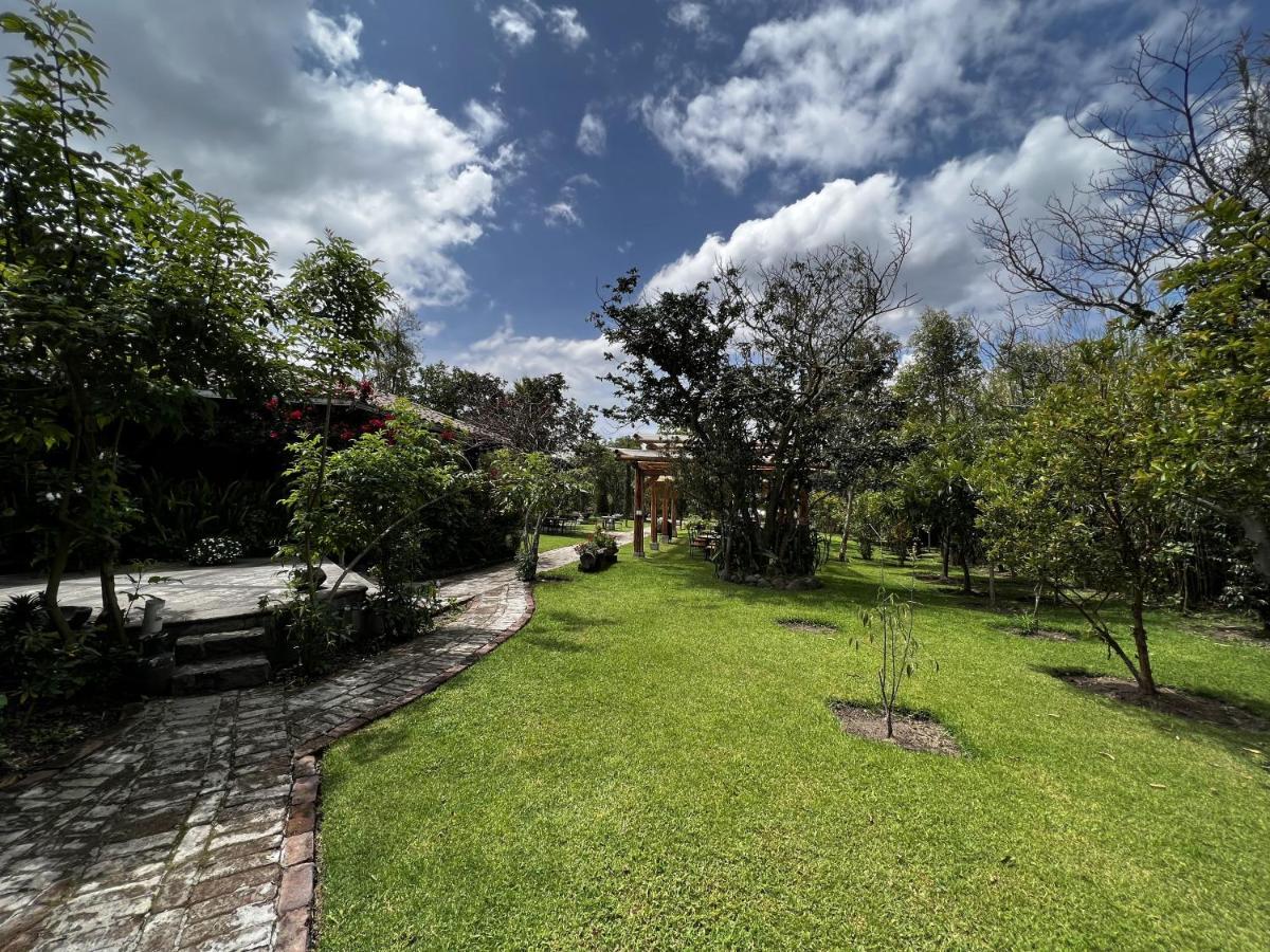 Hacienda Jimenita Wildlife Reserve Puembo Extérieur photo